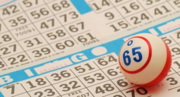 Seek Out the Best Payout Bingo Sites From Reviews