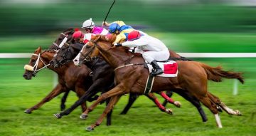 SIS join Spain’s Paston Apuestas on horse as well as greyhound bargain